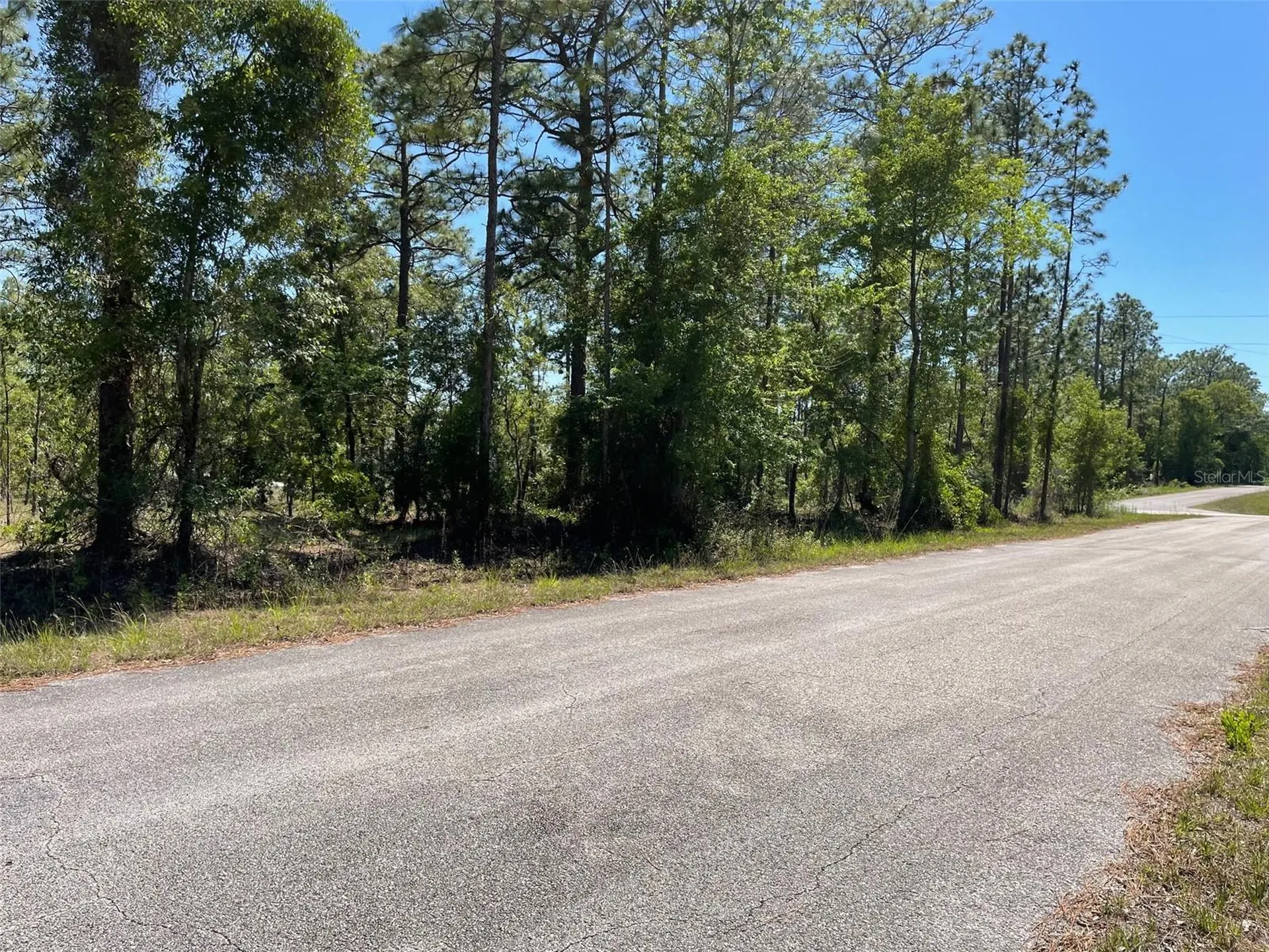 Lot 1 NW Mandrake Drive Dunnellon FL 34431