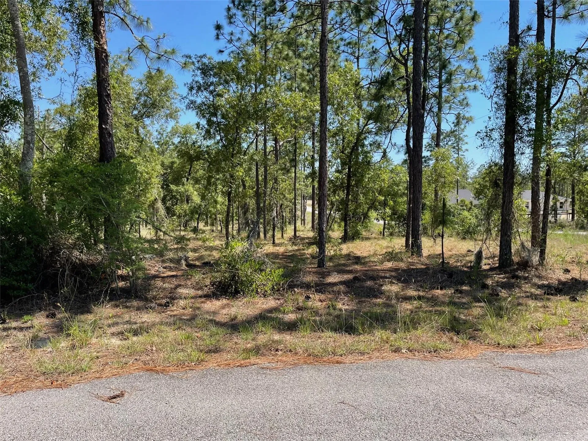 Lot 1 NW Mandrake Drive Dunnellon FL 34431