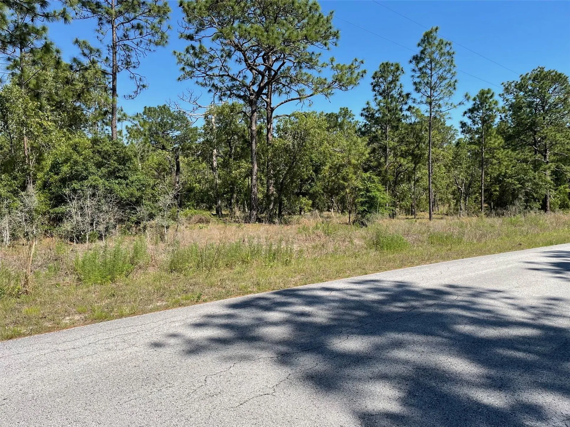 Lot 1 NW Mandrake Drive Dunnellon FL 34431