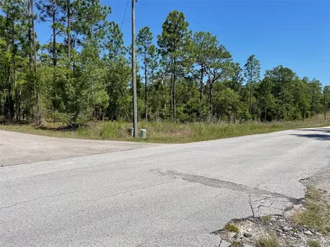 LOT 1 NW Mandrake Drive Dunnellon FL 34431