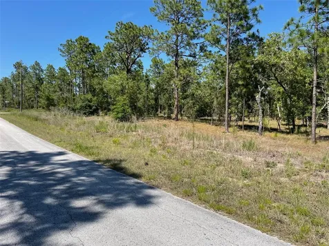 Lot 1 NW Mandrake Drive Dunnellon FL 34431