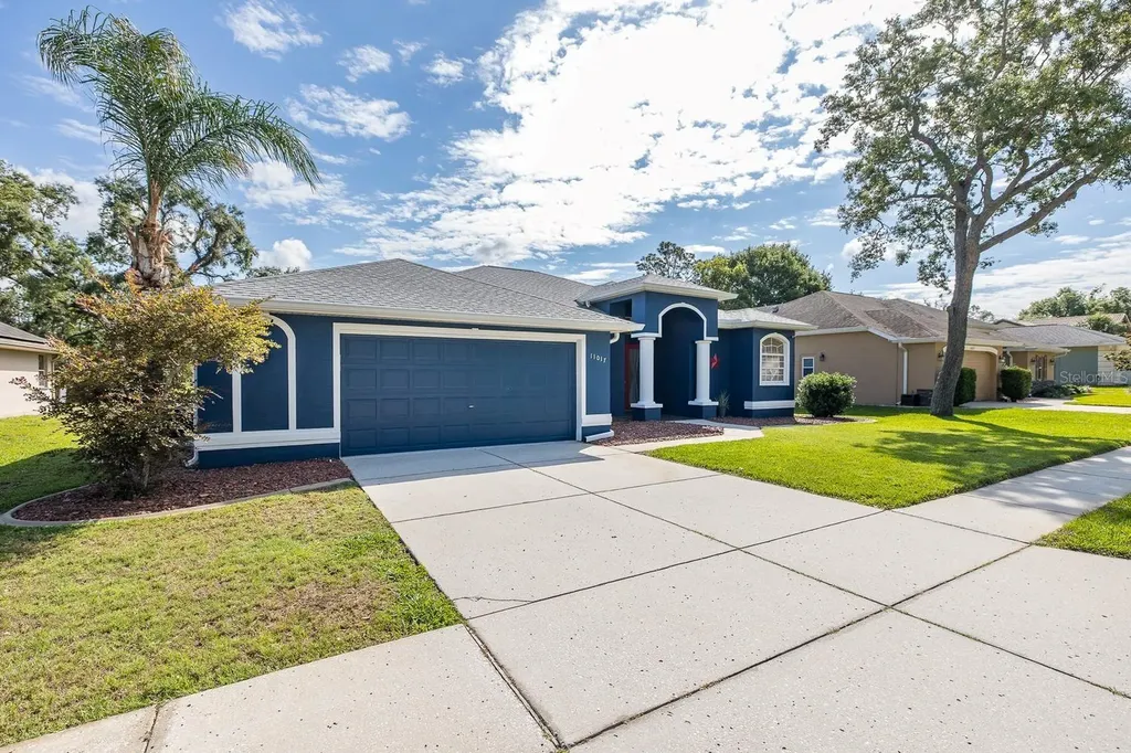 11017 Audie Brook Drive Spring Hill FL 34608