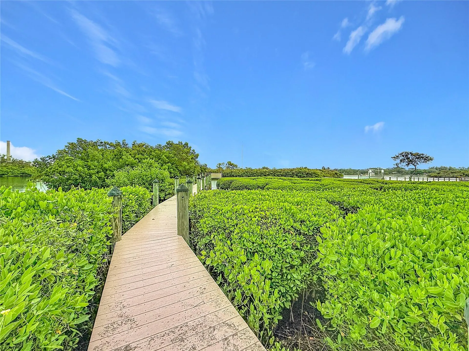 2021 North Pointe Alexis Drive Tarpon Springs FL 34689