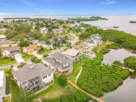 2021 North Pointe Alexis Drive Tarpon Springs FL 34689