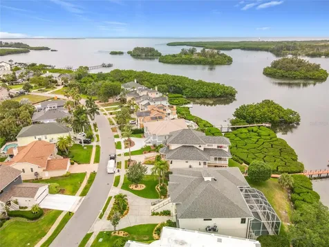 2021 North Pointe Alexis Drive Tarpon Springs FL 34689