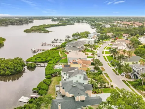 2021 North Pointe Alexis Drive Tarpon Springs FL 34689