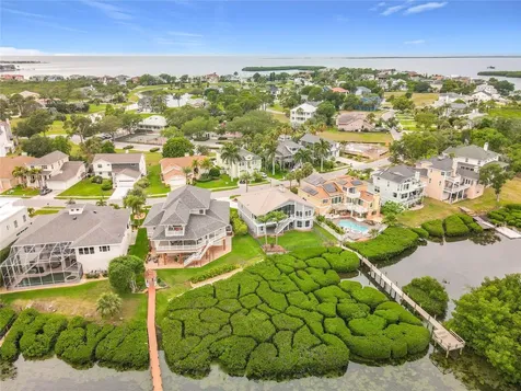 2021 North Pointe Alexis Drive Tarpon Springs FL 34689