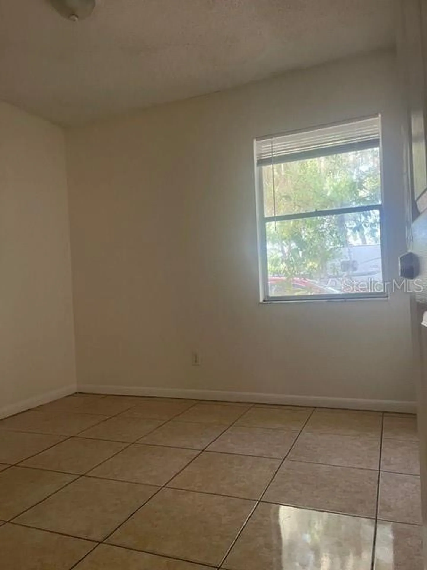 8203 N Klondyke Street Tampa FL 33604