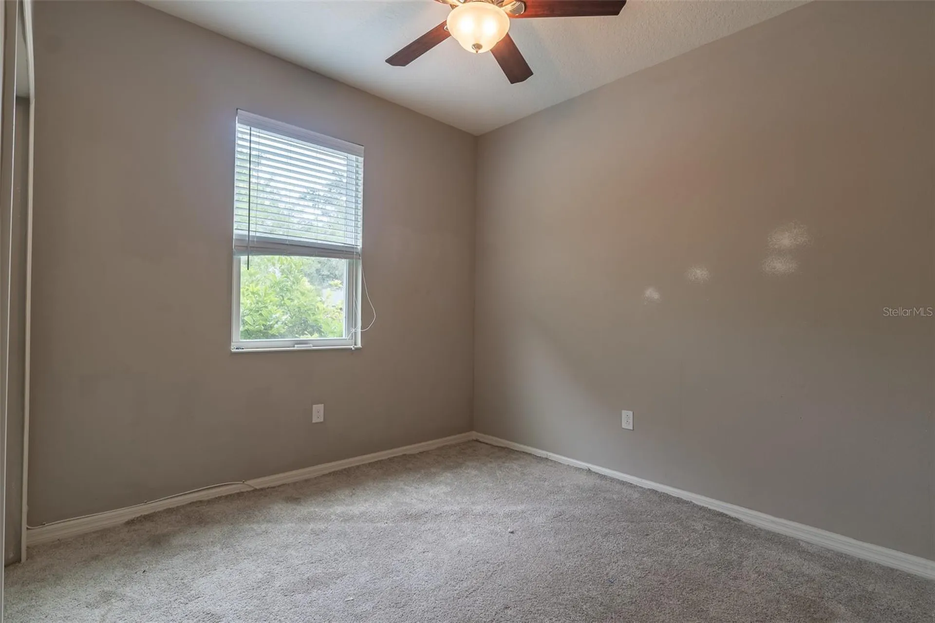 10514 Medford Lake Drive Riverview FL 33578