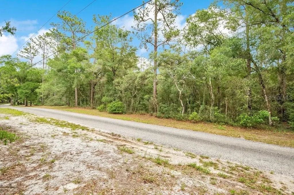 1121 Silver Saddle Trail Deland FL 32724