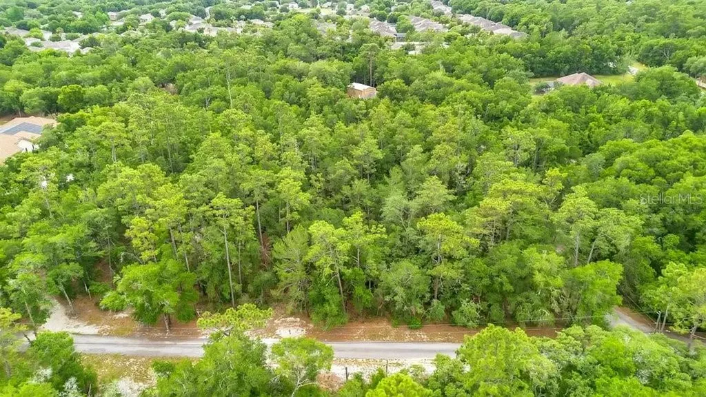 1121 Silver Saddle Trail Deland FL 32724