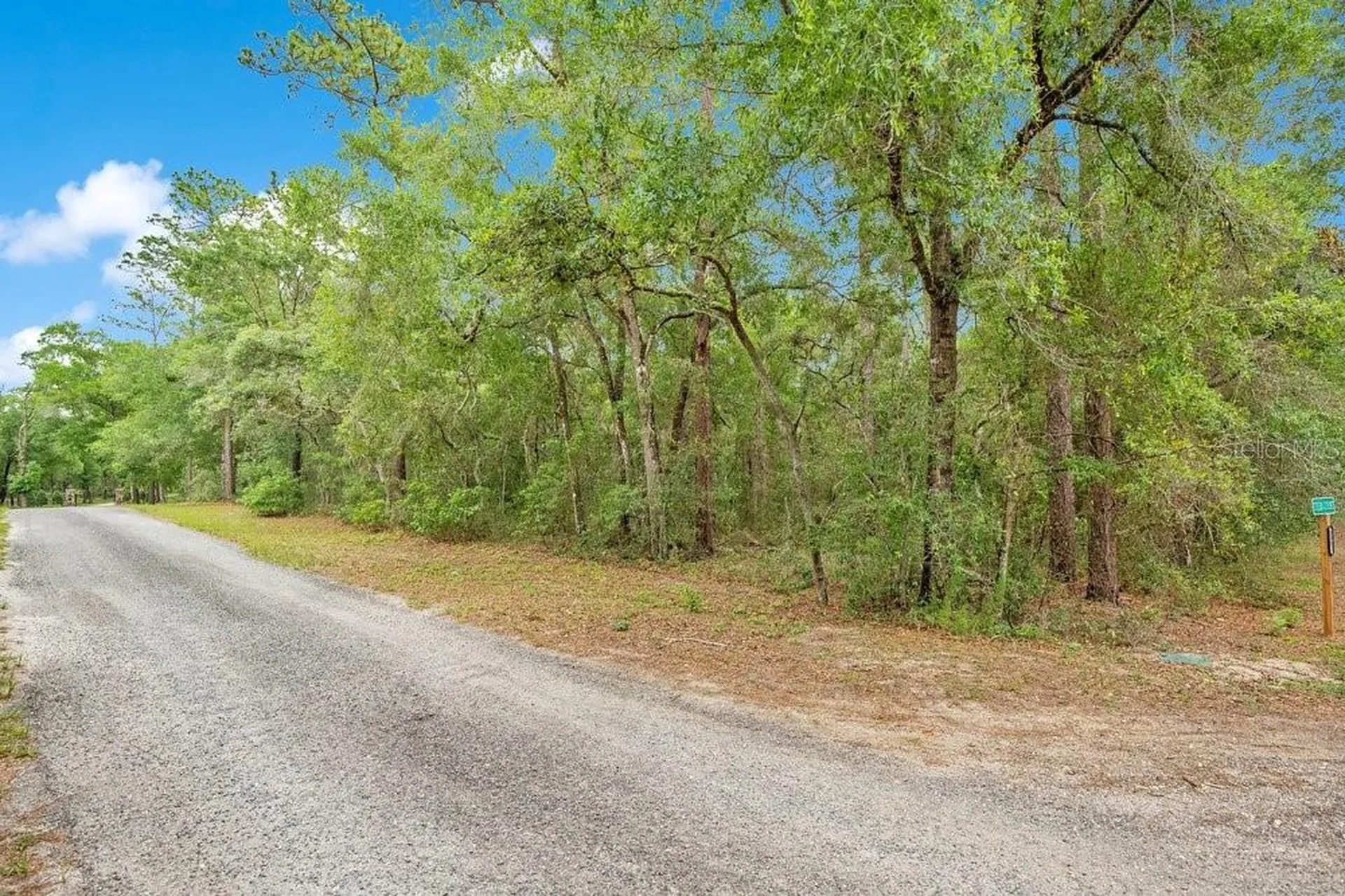 1121 Silver Saddle Trail Deland FL 32724