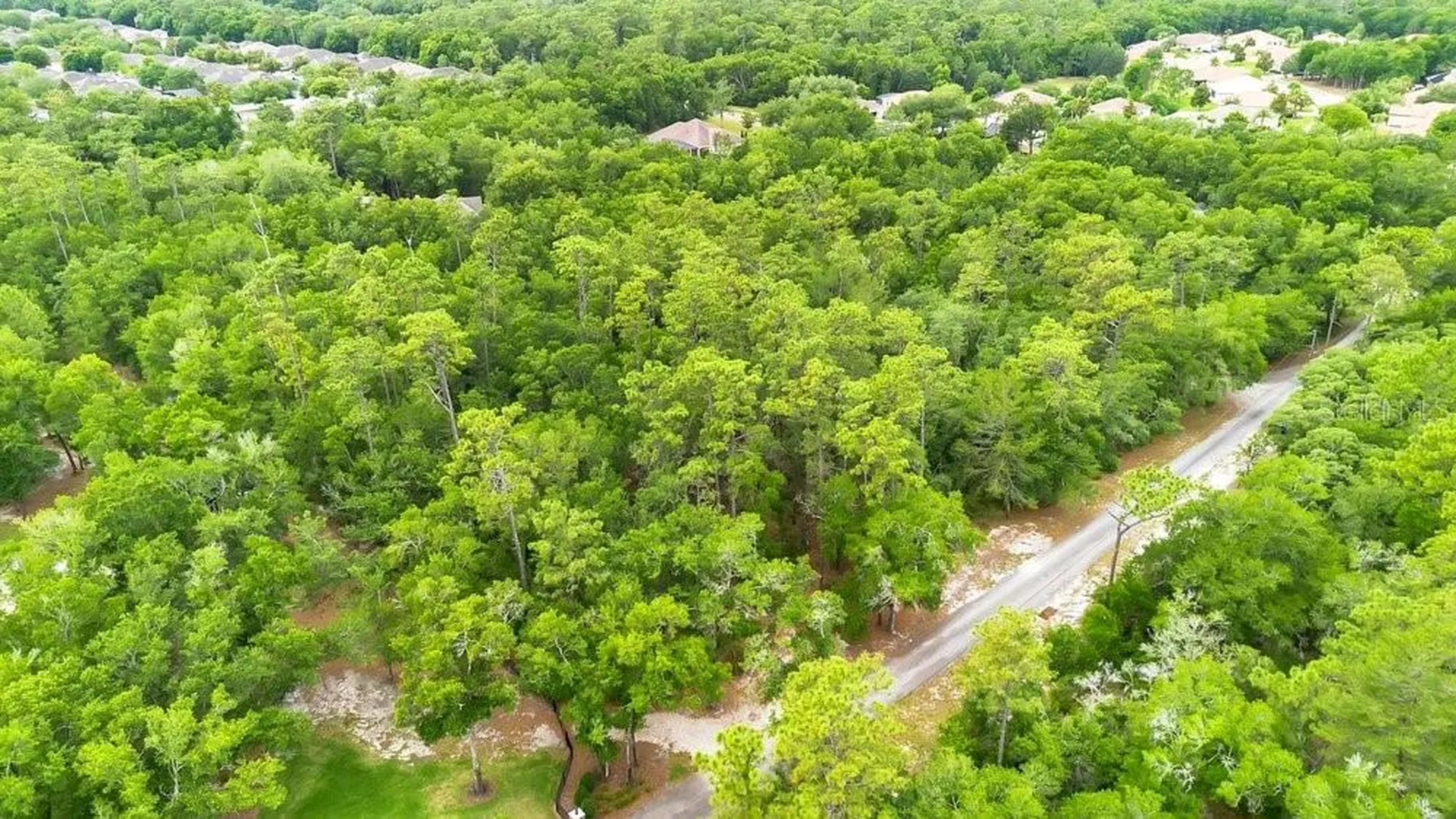 1121 Silver Saddle Trail Deland FL 32724