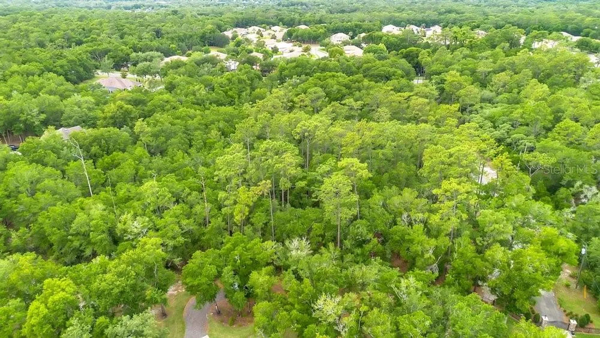 1121 Silver Saddle Trail Deland FL 32724