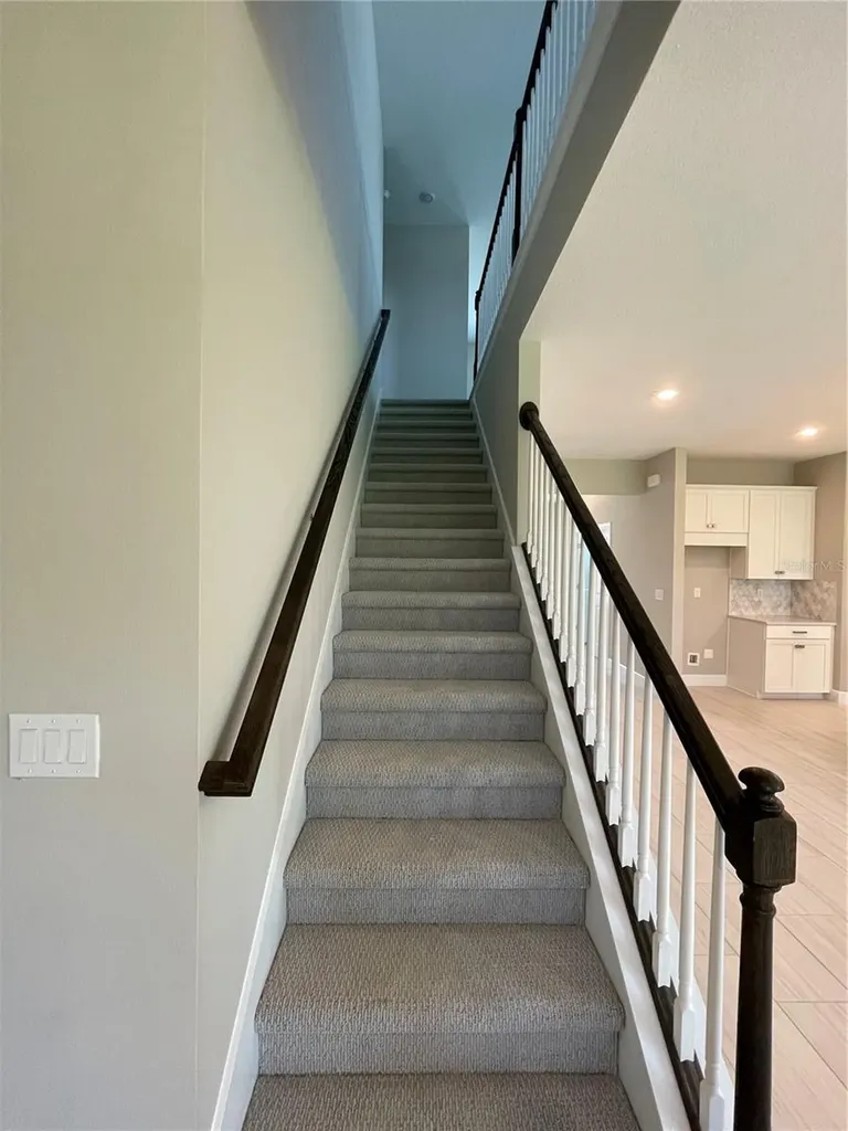 34286 Evergreen Hill Court Wesley Chapel FL 33545