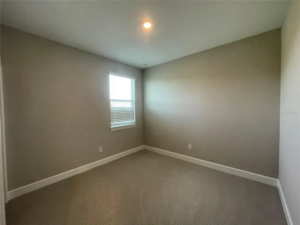 34286 Evergreen Hill Court Wesley Chapel FL 33545