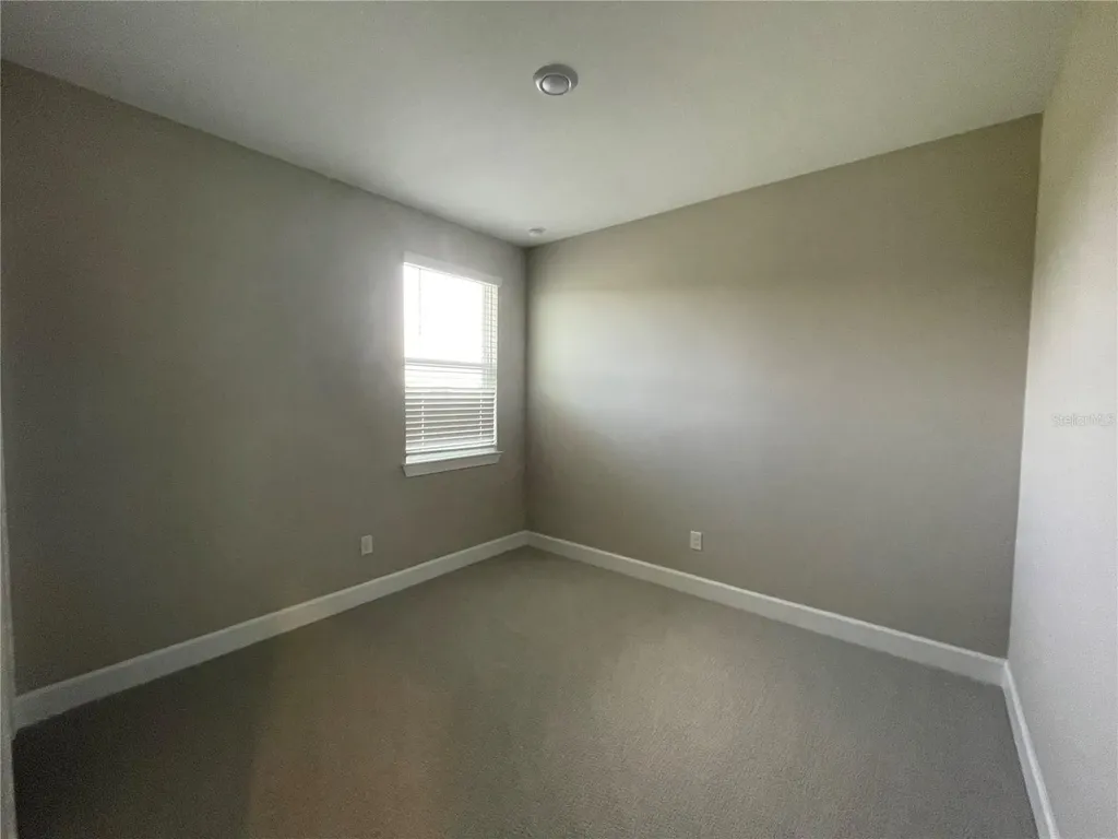 34286 Evergreen Hill Court Wesley Chapel FL 33545