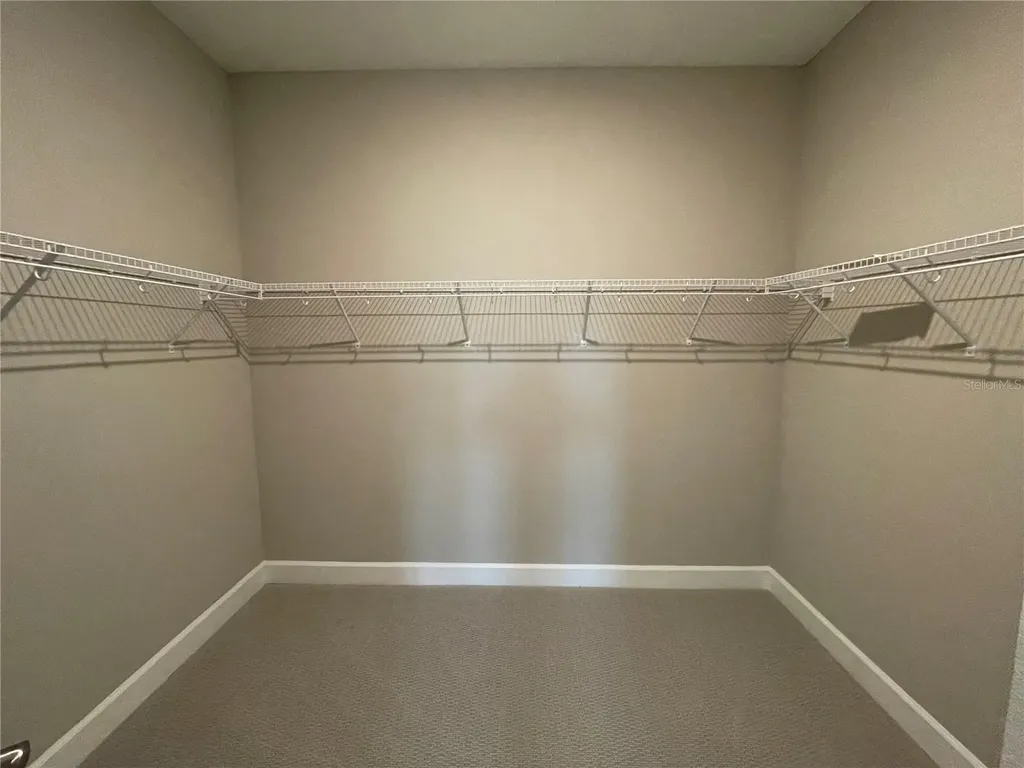 34286 Evergreen Hill Court Wesley Chapel FL 33545