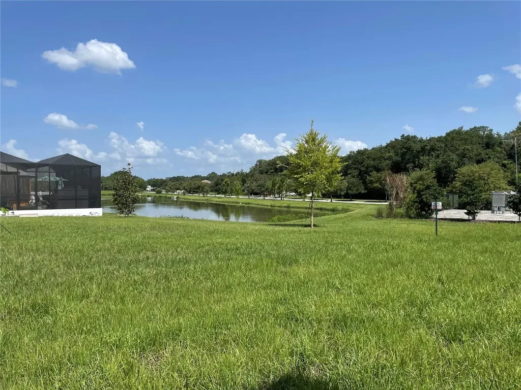 34286 Evergreen Hill Court Wesley Chapel FL 33545