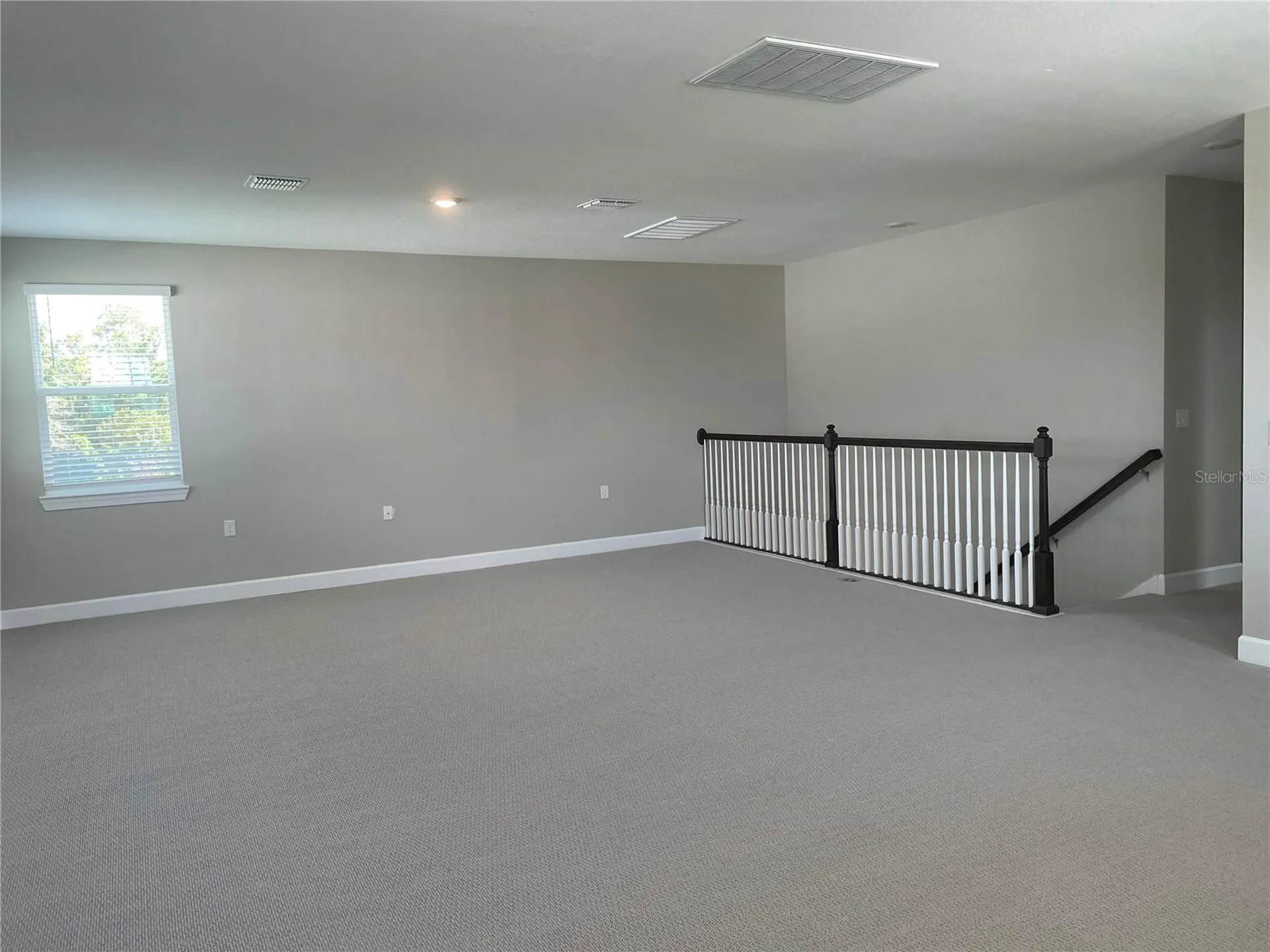 34286 Evergreen Hill Court Wesley Chapel FL 33545