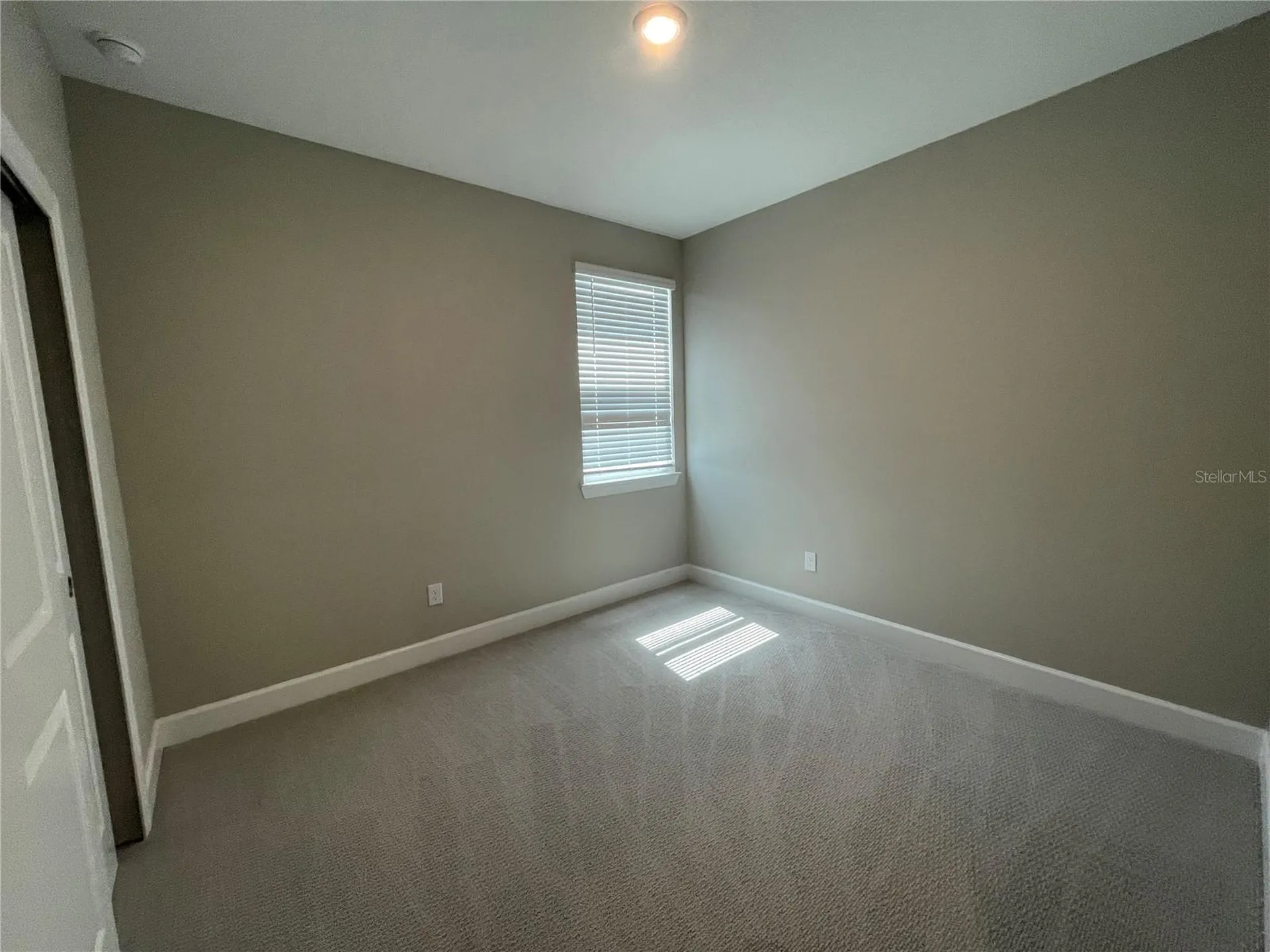 34286 Evergreen Hill Court Wesley Chapel FL 33545