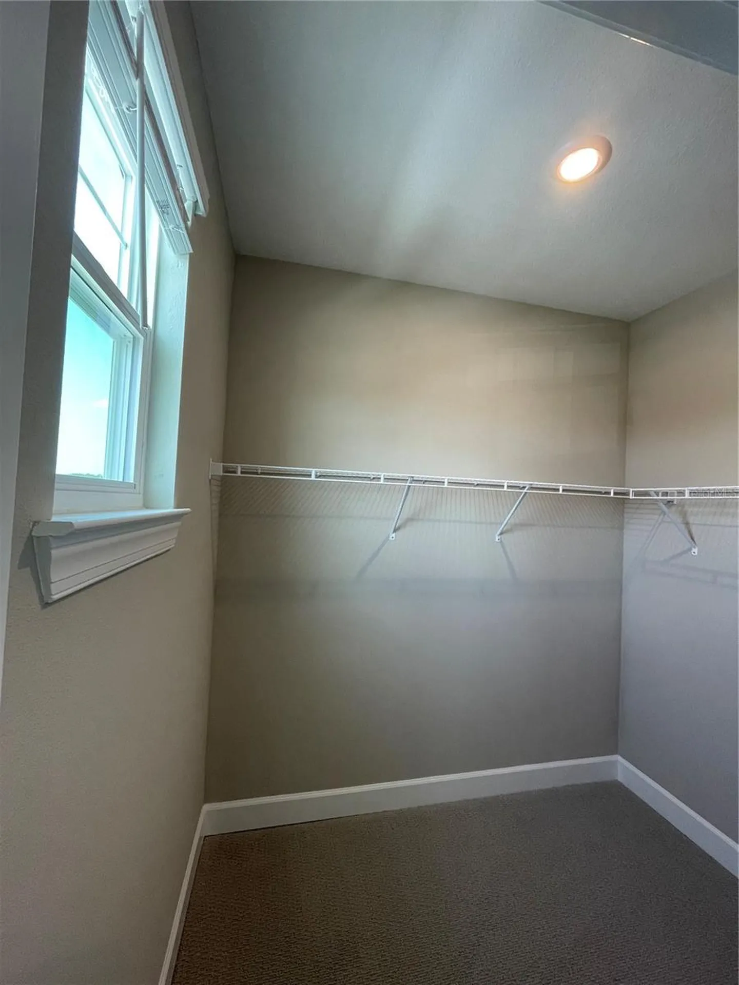 34286 Evergreen Hill Court Wesley Chapel FL 33545