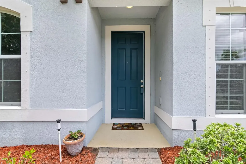 11412 Lake Lucaya Drive Riverview FL 33579