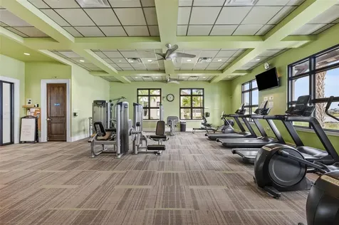 11412 Lake Lucaya Drive Riverview FL 33579
