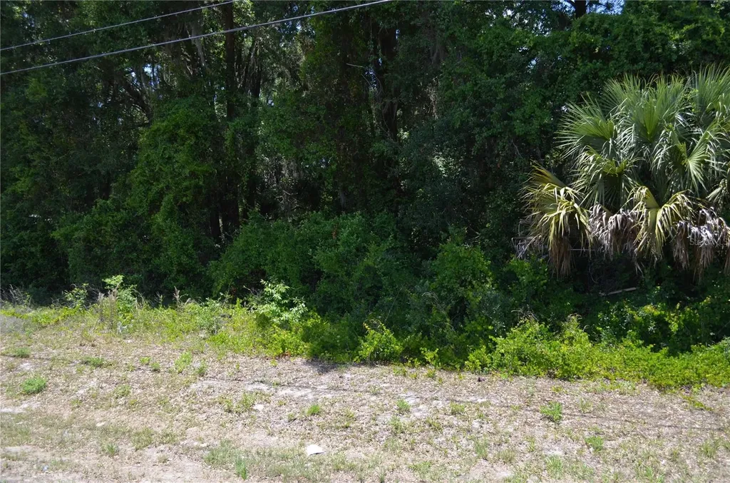 Tbd N Us Highway 301 Citra FL 32113