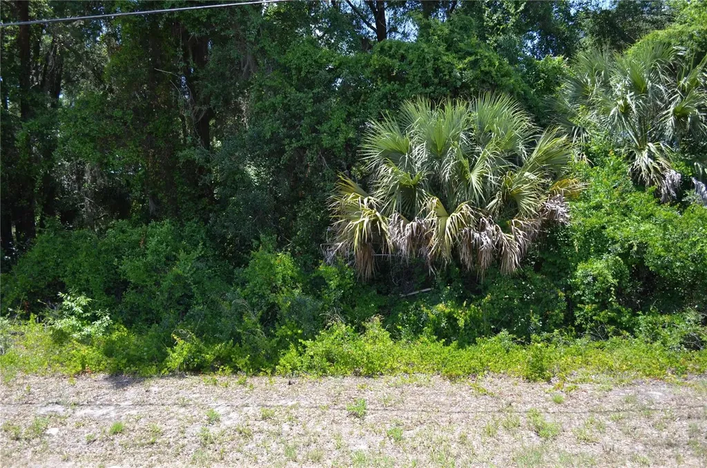Tbd N Us Highway 301 Citra FL 32113