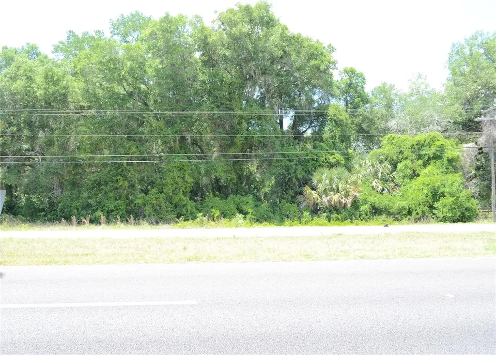 Tbd N Us Highway 301 Citra FL 32113