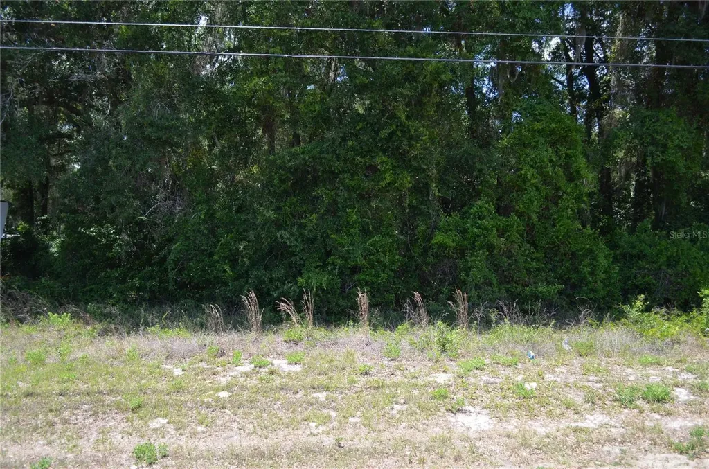Tbd N Us Highway 301 Citra FL 32113