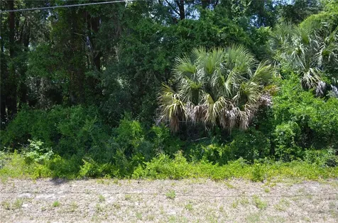 Tbd N Us Highway 301 Citra FL 32113