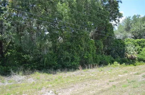 Tbd N Us Highway 301 Citra FL 32113