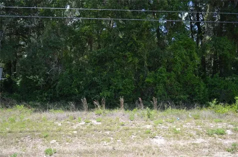 Tbd N Us Highway 301 Citra FL 32113