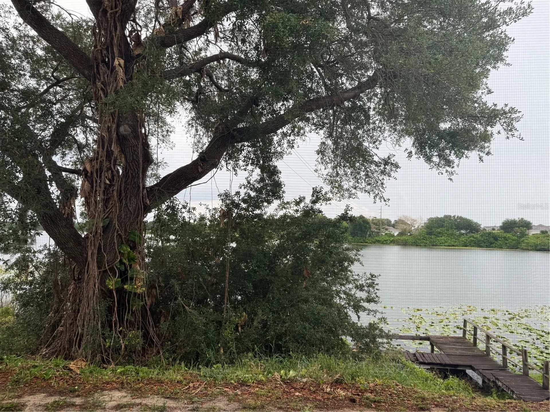 702 Country Lane NE Winter Haven FL 33881