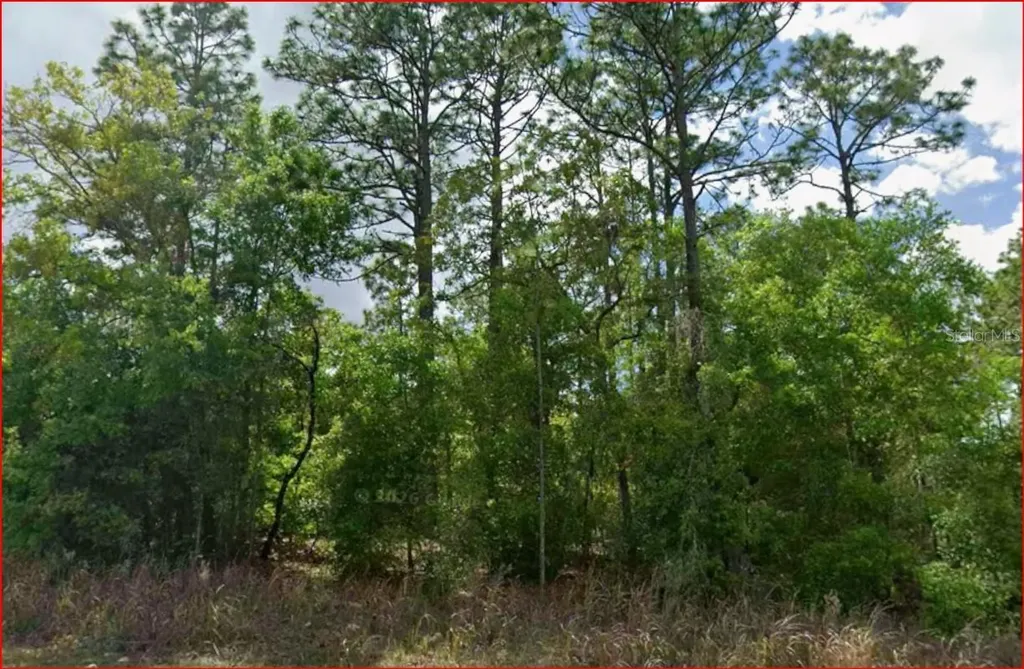 11016 N Mataro Avenue Citrus Springs FL 34434
