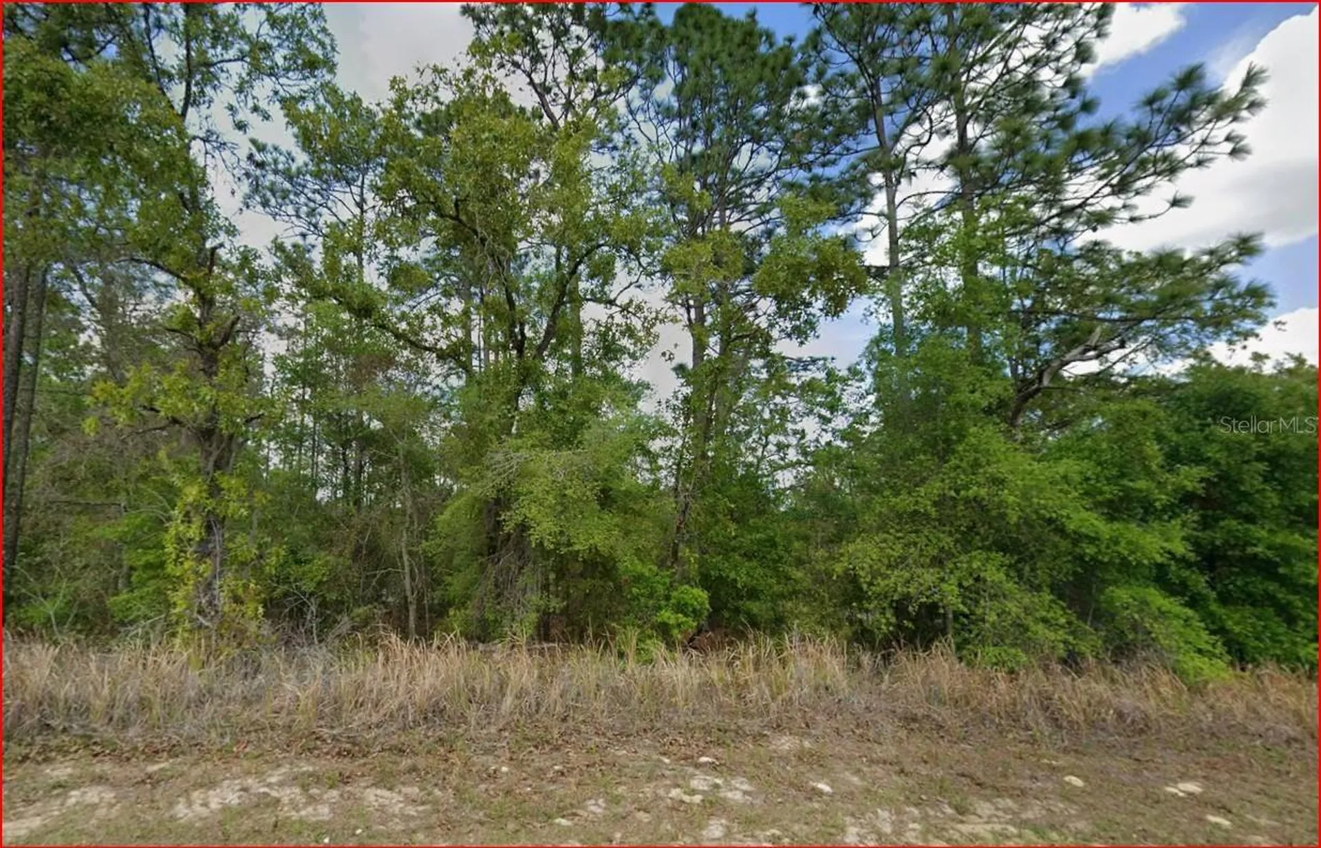 11016 N Mataro Avenue Citrus Springs FL 34434