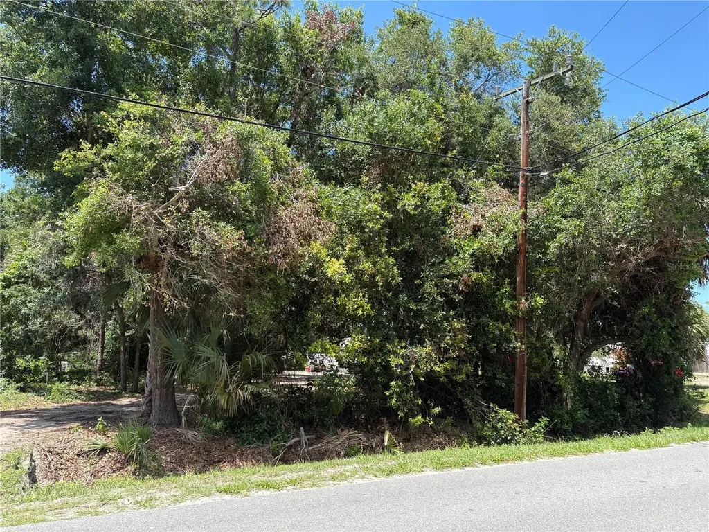 168 Canal Avenue Oak Hill FL 32759