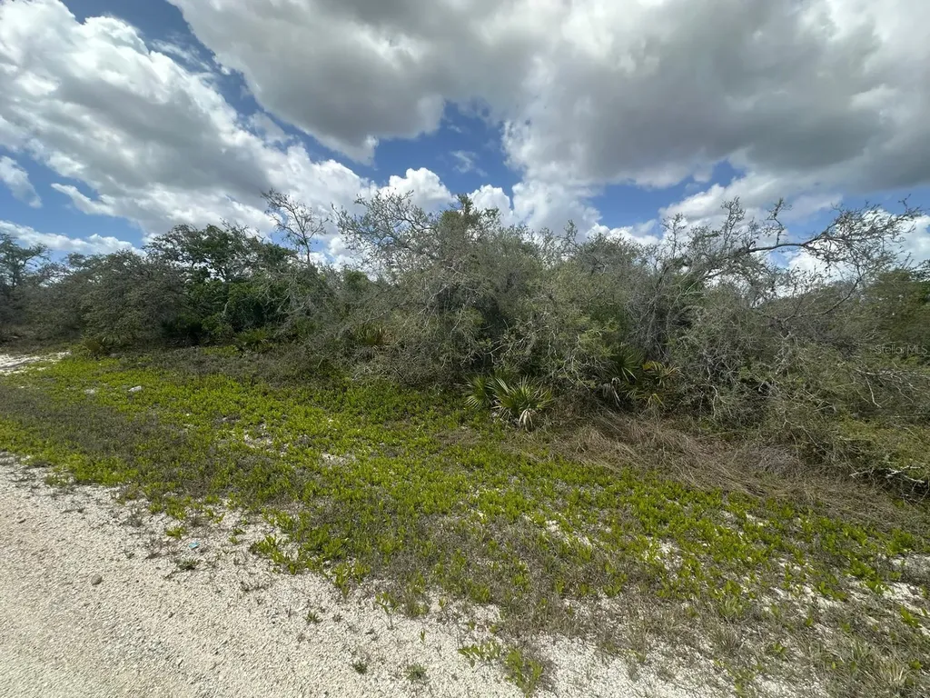 130 Vagabond Avenue Lake Placid FL 33852