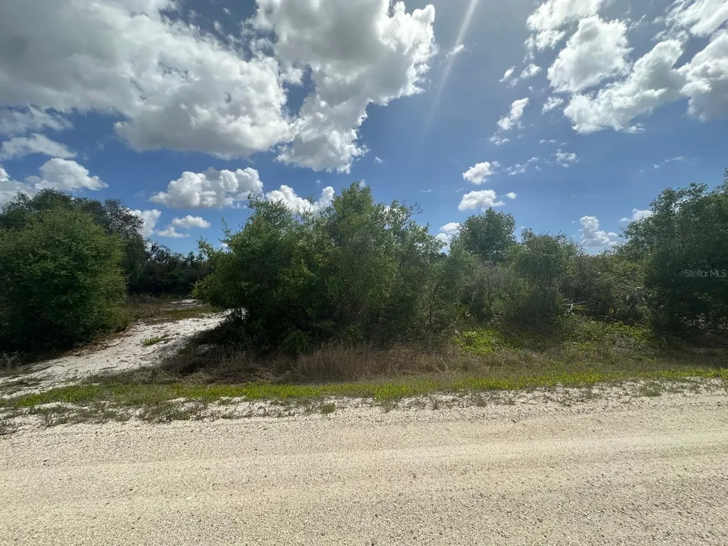 130 Vagabond Avenue Lake Placid FL 33852