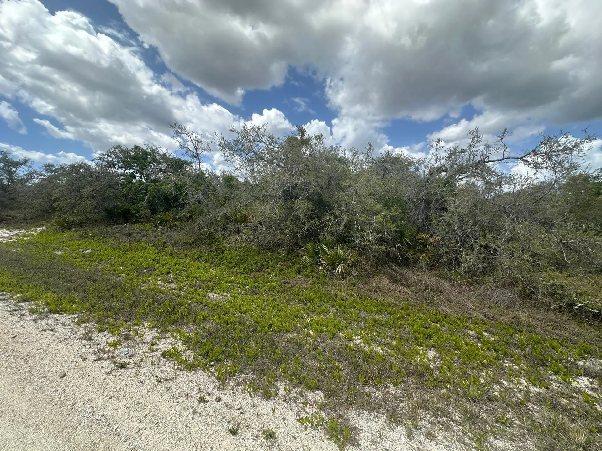 130 Vagabond Avenue Lake Placid FL 33852