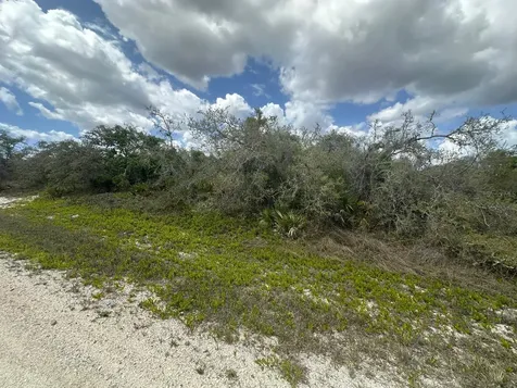 130 Vagabond Avenue Lake Placid FL 33852