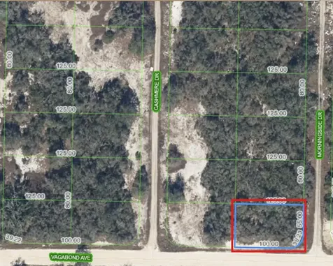 130 Vagabond Avenue Lake Placid FL 33852