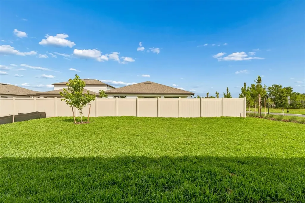 6669 Asbury Barnes Lane Wesley Chapel FL 33545
