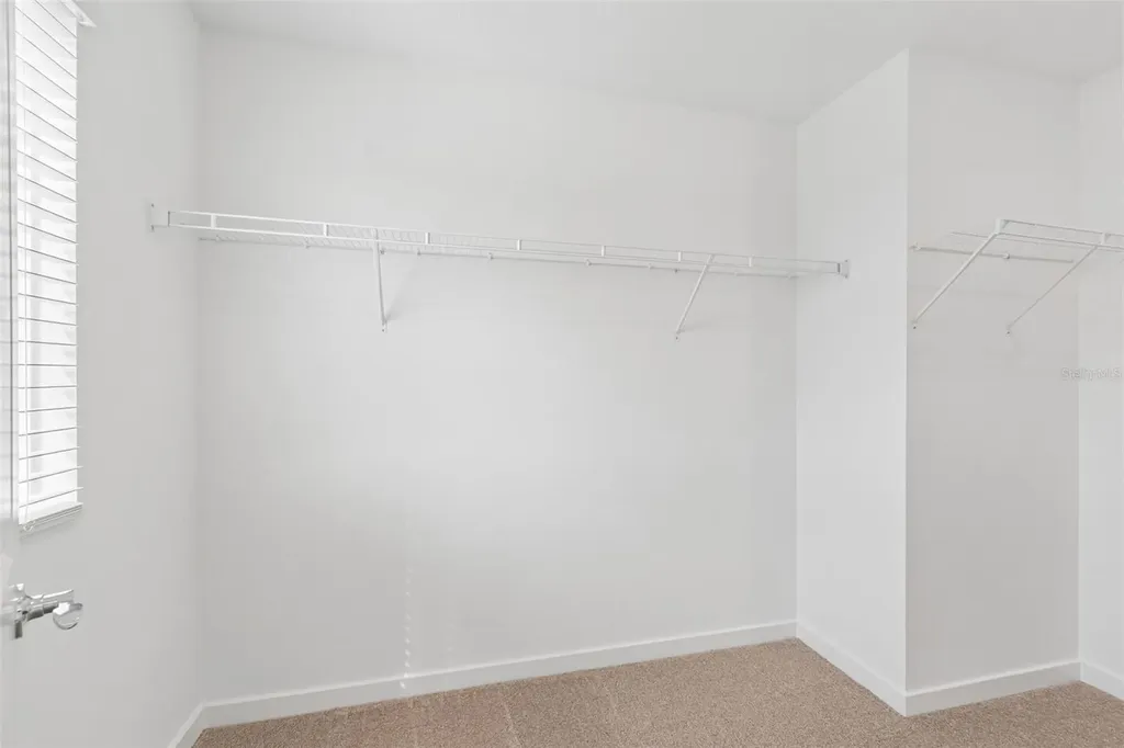 6669 Asbury Barnes Lane Wesley Chapel FL 33545