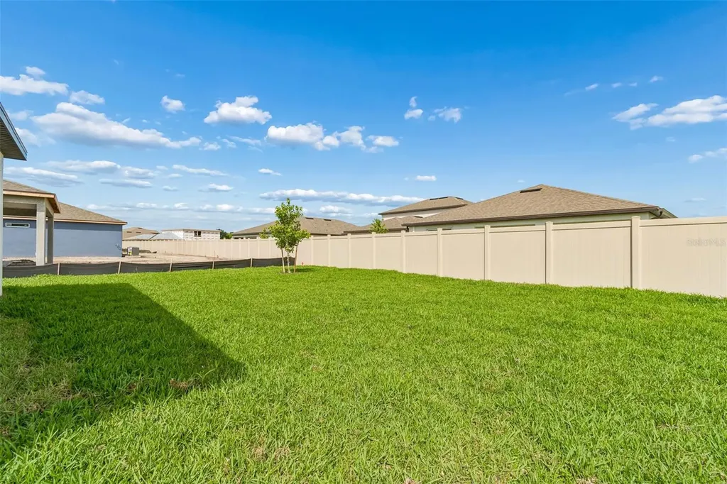 6669 Asbury Barnes Lane Wesley Chapel FL 33545