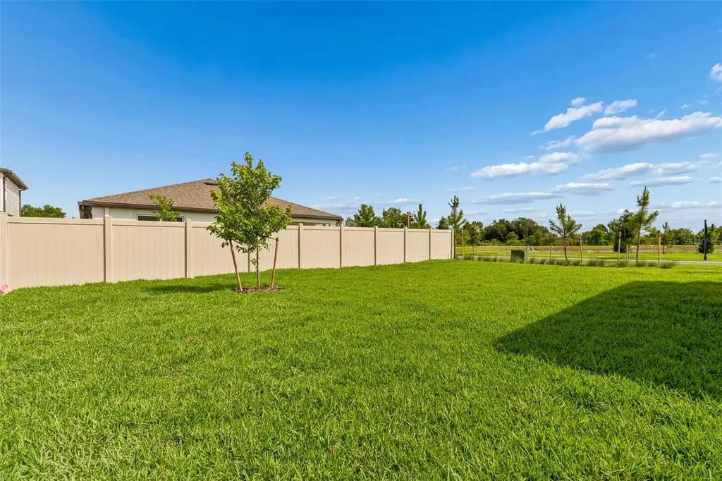 6669 Asbury Barnes Lane Wesley Chapel FL 33545