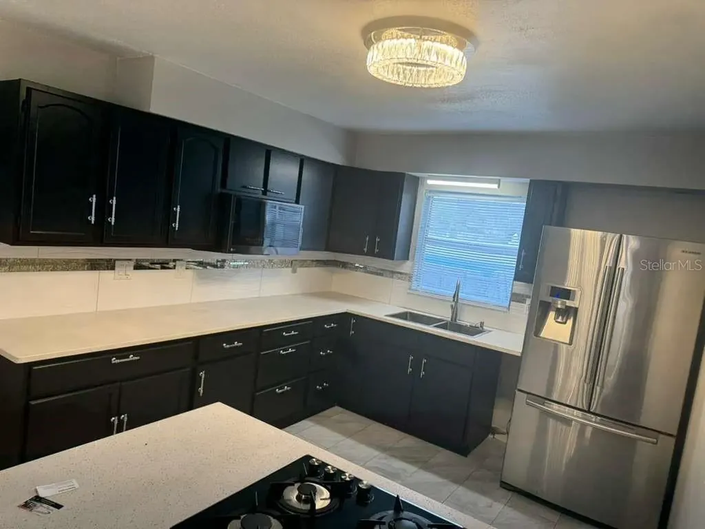 1617 E Idell Street Tampa FL 33604