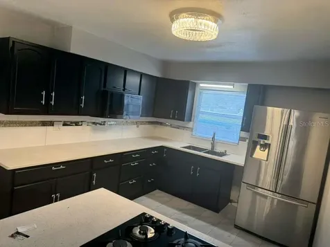 1617 E Idell Street Tampa FL 33604
